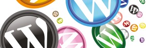 marbella wordpress design, wordpress plugins and theme installation.