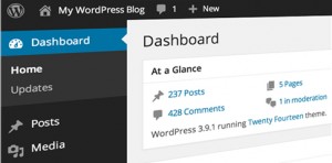 update your wordpress site easily