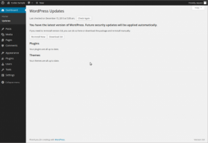 Wordpress dashboard Updates