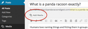 wordpress-add-media-button