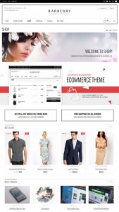 wordpress-theme-barberry-marbella-wordpress