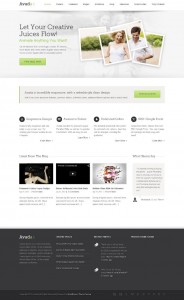 best-wordpress-theme-2014-Avada