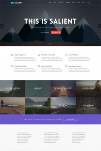 best-wordpress-themes-november-2014-Salient