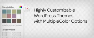 customizable-wordpress-themes-frameworks