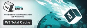 WordPress-SEO-Plugin-W3-Total-Cache