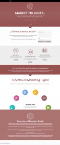 experts-digital-marketing-seo-marketing-marbella